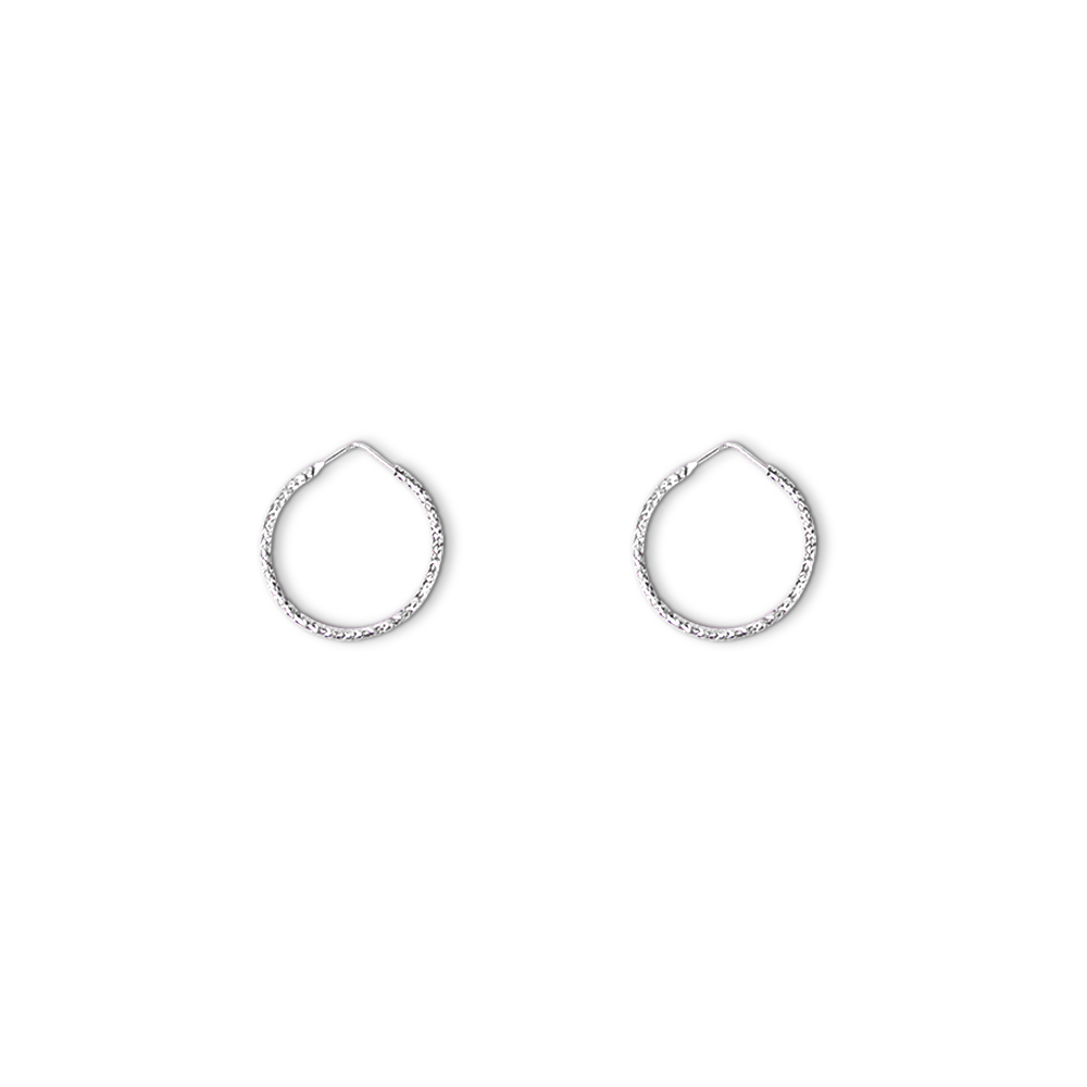 Hoop Earrings