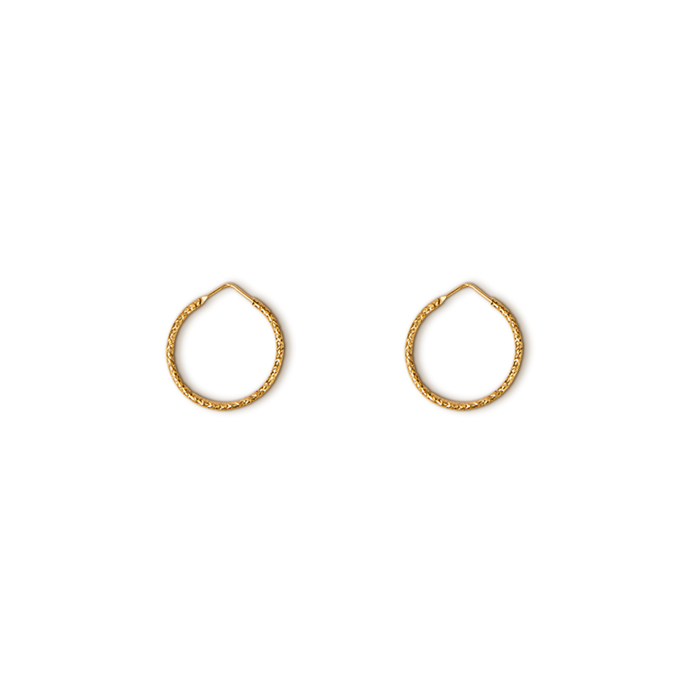 Hoop Earrings