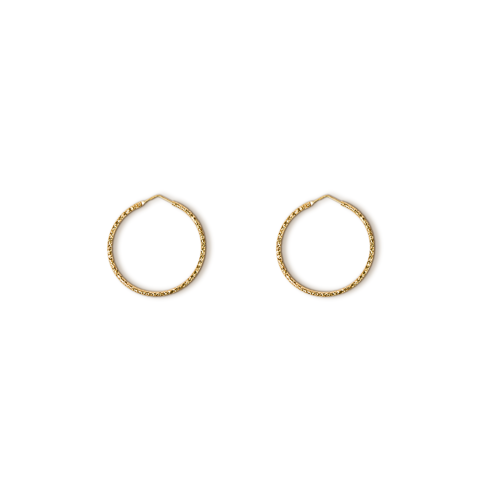 Hoop Earrings