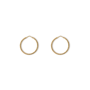 Hoop Earrings