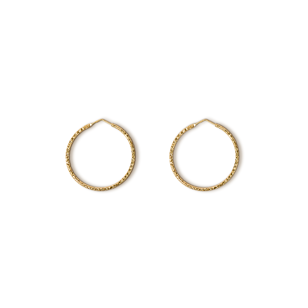 Hoop Earrings