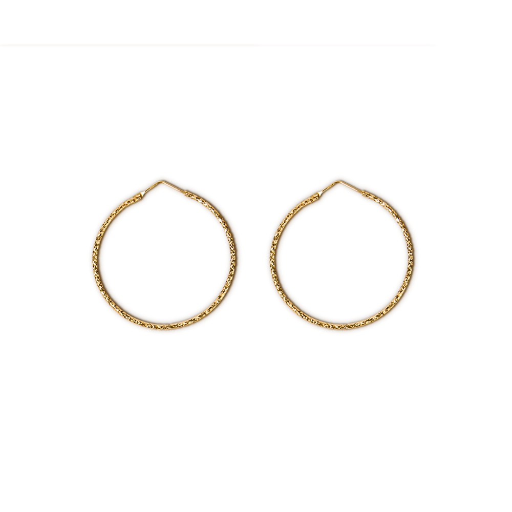 Hoop Earrings