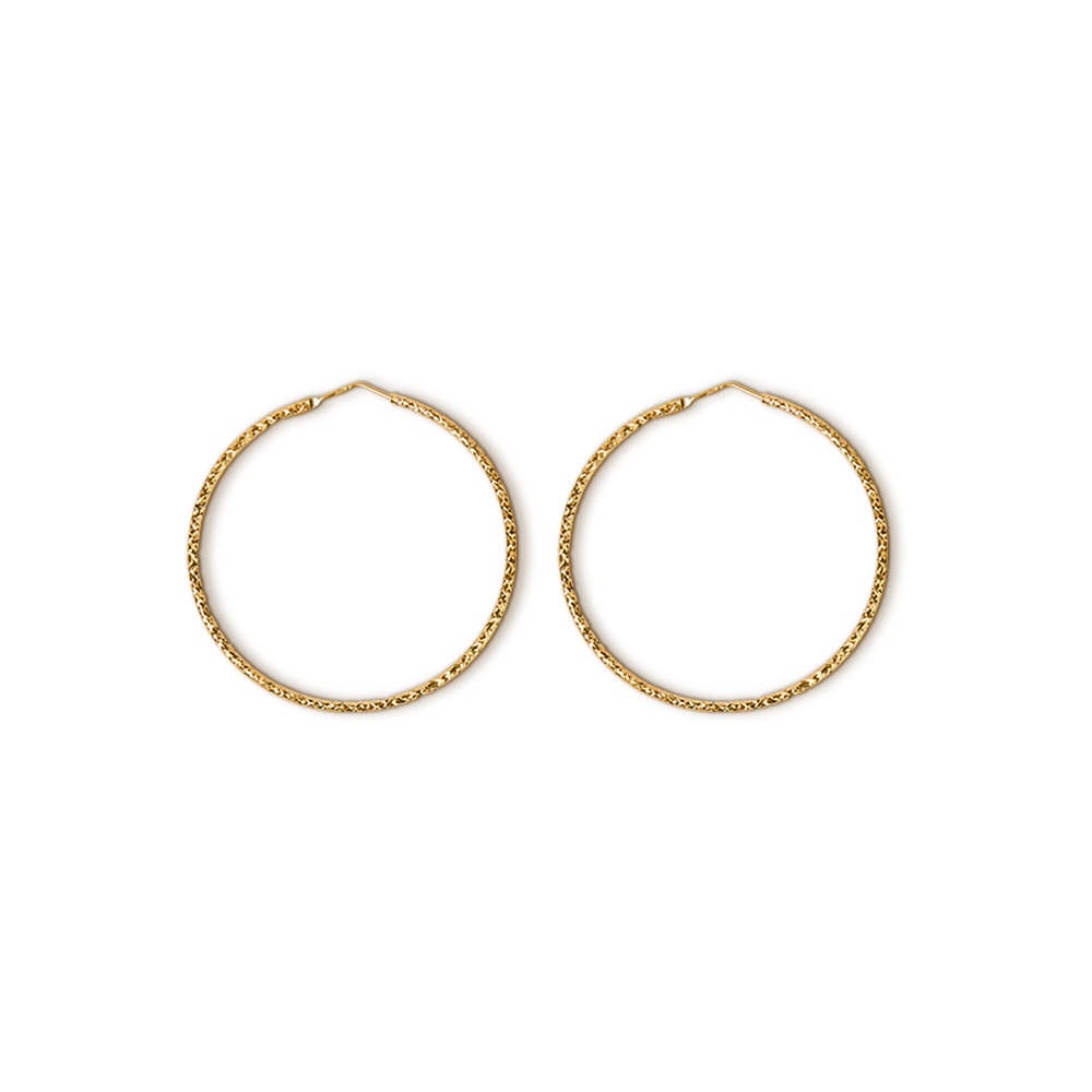 Hoop Earrings